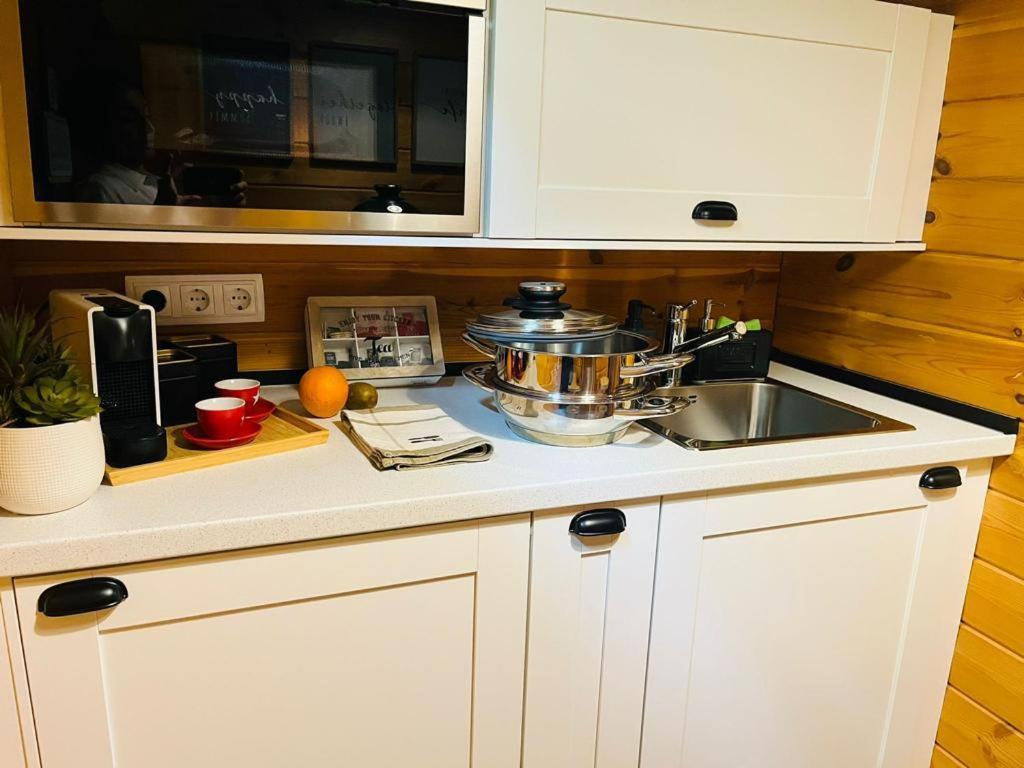 Appartement Espléndida De Madera Frente Al Río Ter Camprodon